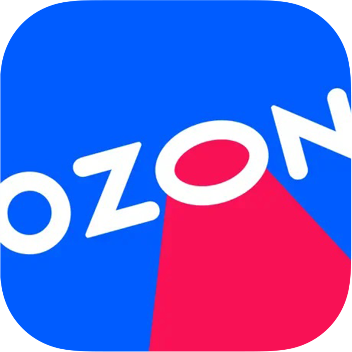 Видеонаблюдение для повышения безопасности и контроля в компании OZON Видеонаблюдение для повышения безопасности и контроля в компании OZON